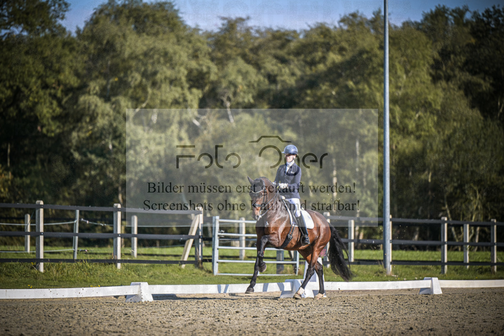 DOS_B828 | Entdecke hochwertige Reitturnierfotos von Foto Oger. Professionell, emotional und authentisch – jetzt Lieblingsmomente im Shop bestellen.Deutschlandweite Turnierfotografie. - Realisiert mit Pictrs.com