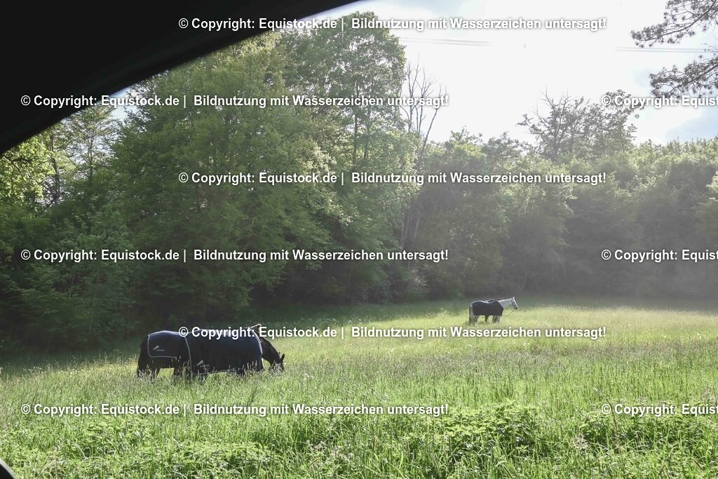 20250517_Impressionen_0097 | Foto: Thomas Hartig