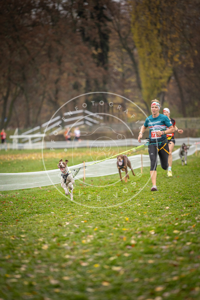 CaniXpix_DV3A9295 | Hundefotografie, Tierfotograf, Pfotenfotografie, Fotoshooting Hund, Hunde Portrait, Hundesport, Hundeportraits, Heideshooting, Hunde, Sportfotograf, Hundefotograf, Turnierhundsport, THS,  - Realisiert mit Pictrs.com