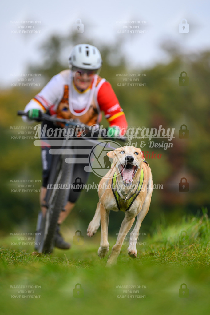 MompixPhotography_CDLBDB2025_DI_DS-78 | PayLife