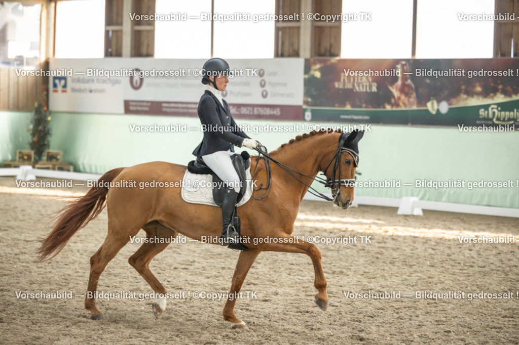 _D5A3322 | Emotionale Pferde- & People-Fotografie rund um Heidelberg, Leimen & Umgebung. Natürliche Fotos von Pferd, Mensch & Familie. Jetzt Termin sichern!