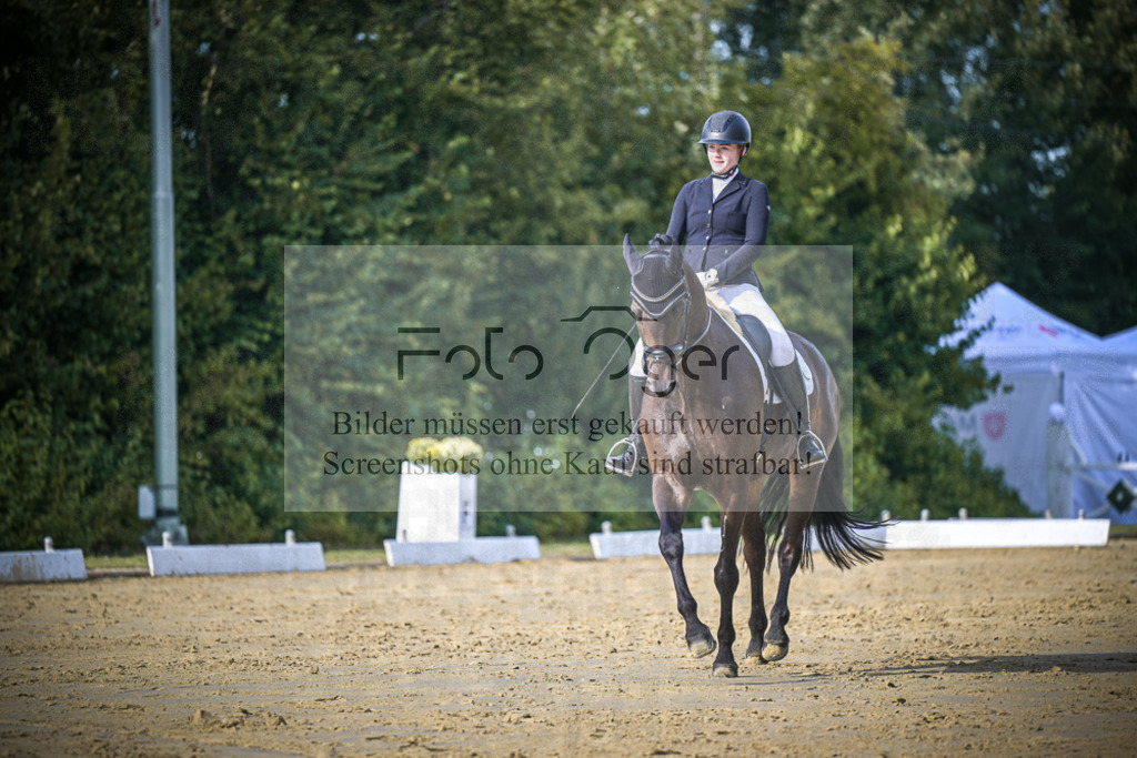 DOS_8469 | Entdecke hochwertige Reitturnierfotos von Foto Oger. Professionell, emotional und authentisch – jetzt Lieblingsmomente im Shop bestellen.Deutschlandweite Turnierfotografie. - Realisiert mit Pictrs.com