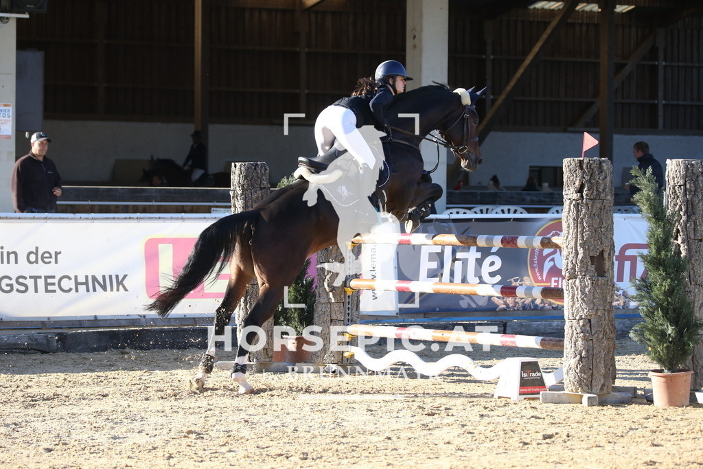 DL2Q4307 | Willkommen bei Brunnmayr - Design & Fotografie – Ihrem Spezialisten für Reitturniere und Pferdeveranstaltungen in Oberösterreich, Salzburg und Bayern! Seit über 17 Jahren sind wir leidenschaftlich dabei.