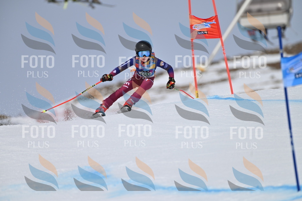 BGV_4295 | holidayphoto