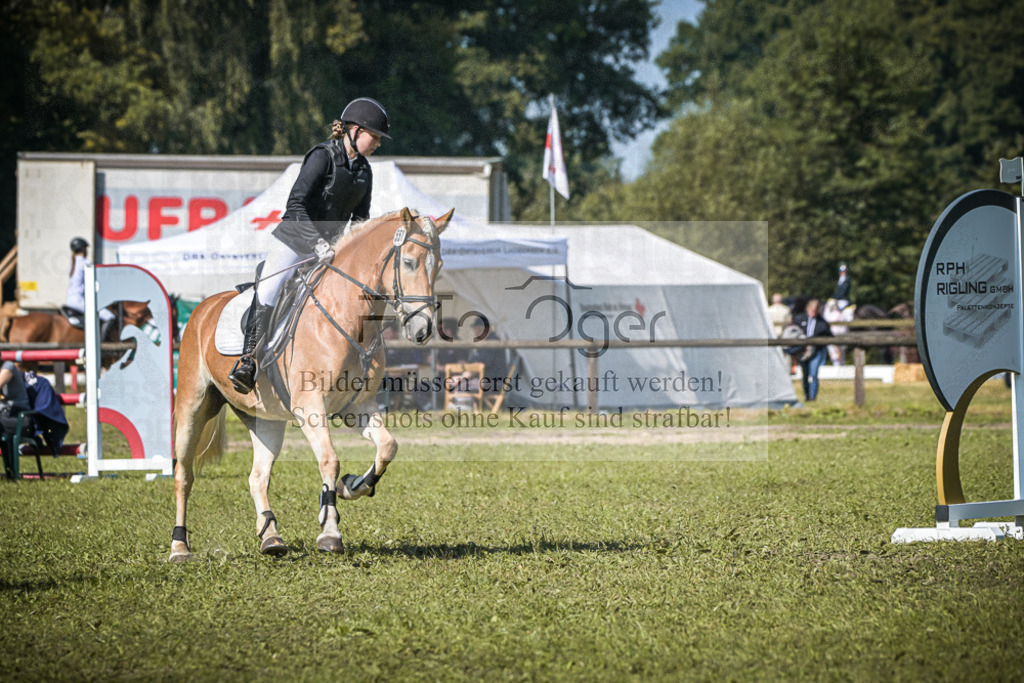 DOS_0062 | Entdecke hochwertige Reitturnierfotos von Foto Oger. Professionell, emotional und authentisch – jetzt Lieblingsmomente im Shop bestellen.Deutschlandweite Turnierfotografie. - Realisiert mit Pictrs.com