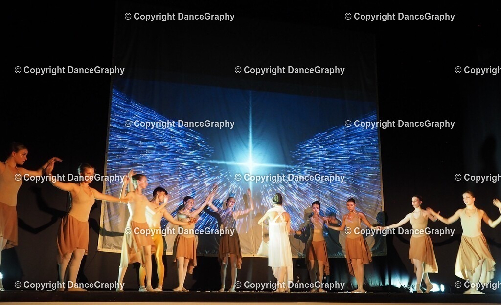 P1010907 | OLYMPUS DIGITAL CAMERA - Realisiert mit Pictrs.com