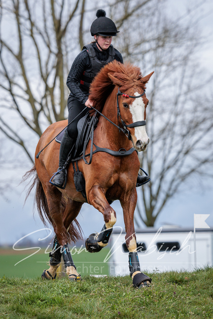 20260329-_3LI5251 | Tierfotografie Pferde, Hunde, Katzen, Haustiere.
Turnierfotografie Reitturniere, Reiten, Springreiten, Dressur in Hanau, dem Main-Kinzig-Kreis und dem Rhein-Main- Gebiet um Frankfurt