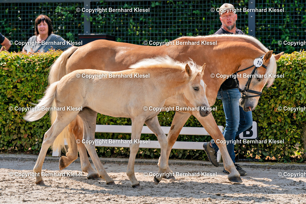 2A909664 | foto-team-bernhard - Realisiert mit Pictrs.com