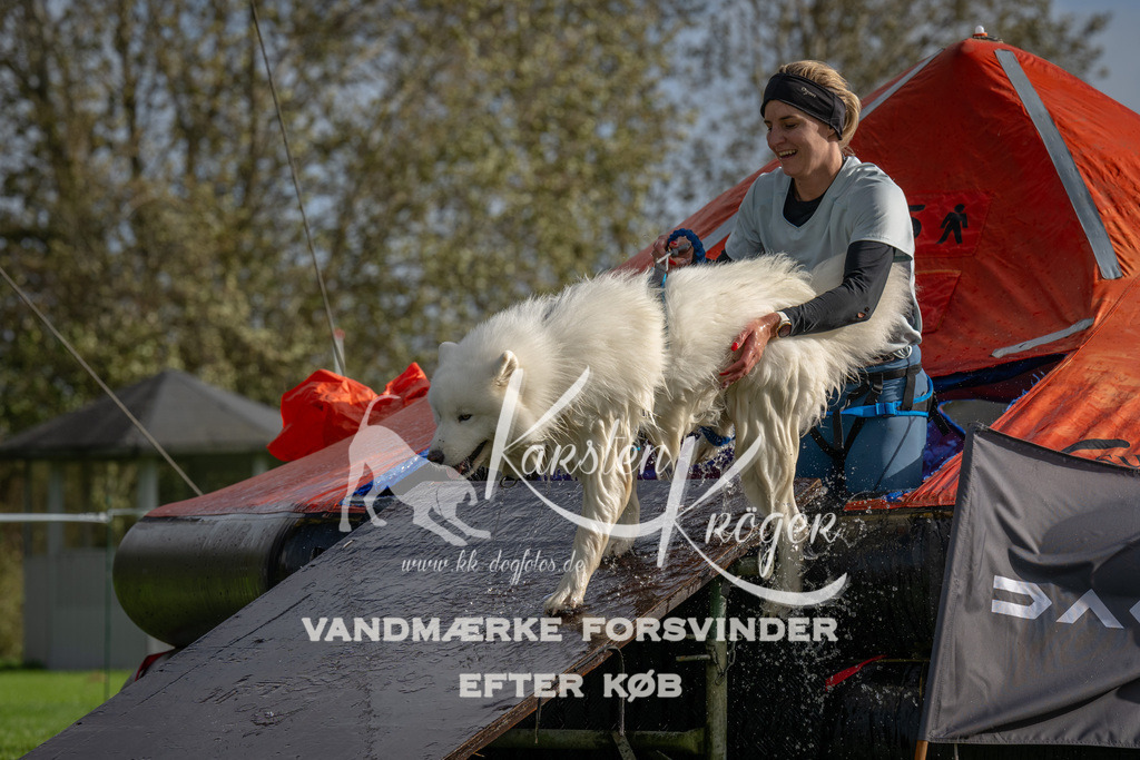 1211-92751 | kk-dogfotos