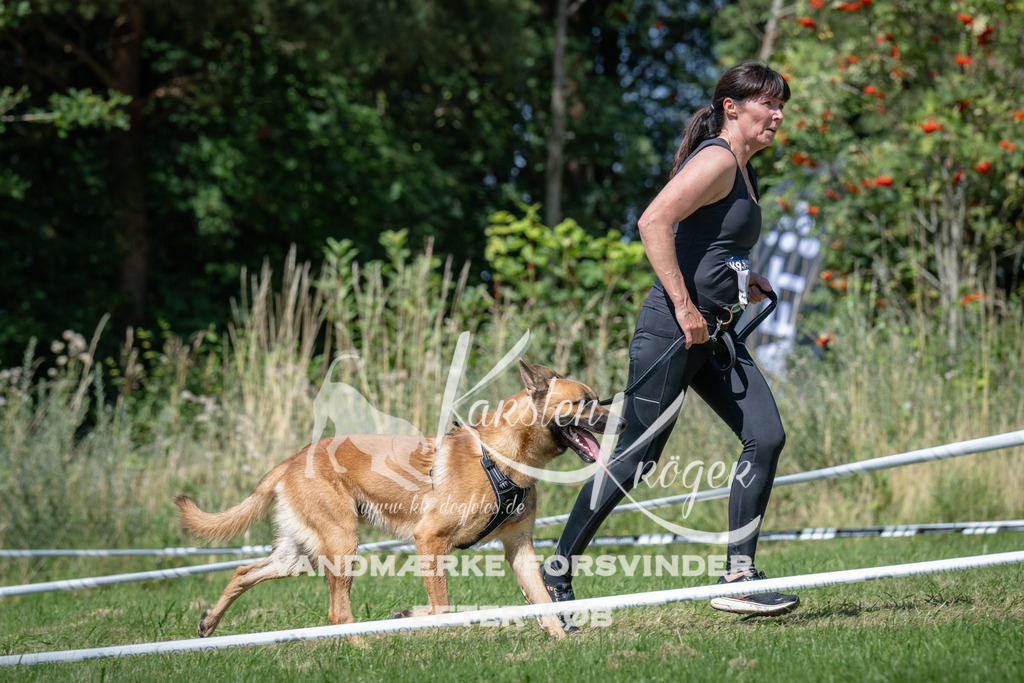 1350_ZZ99460 | kk-dogfotos