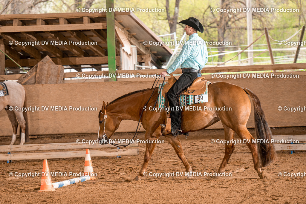 BAL00670 | dv-media-shop - Realisiert mit Pictrs.com