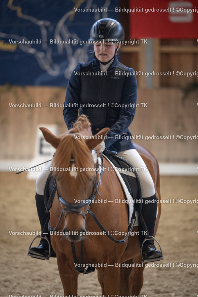 _D5A5706 | Emotionale Pferde- & People-Fotografie rund um Heidelberg, Leimen & Umgebung. Natürliche Fotos von Pferd, Mensch & Familie. Jetzt Termin sichern!