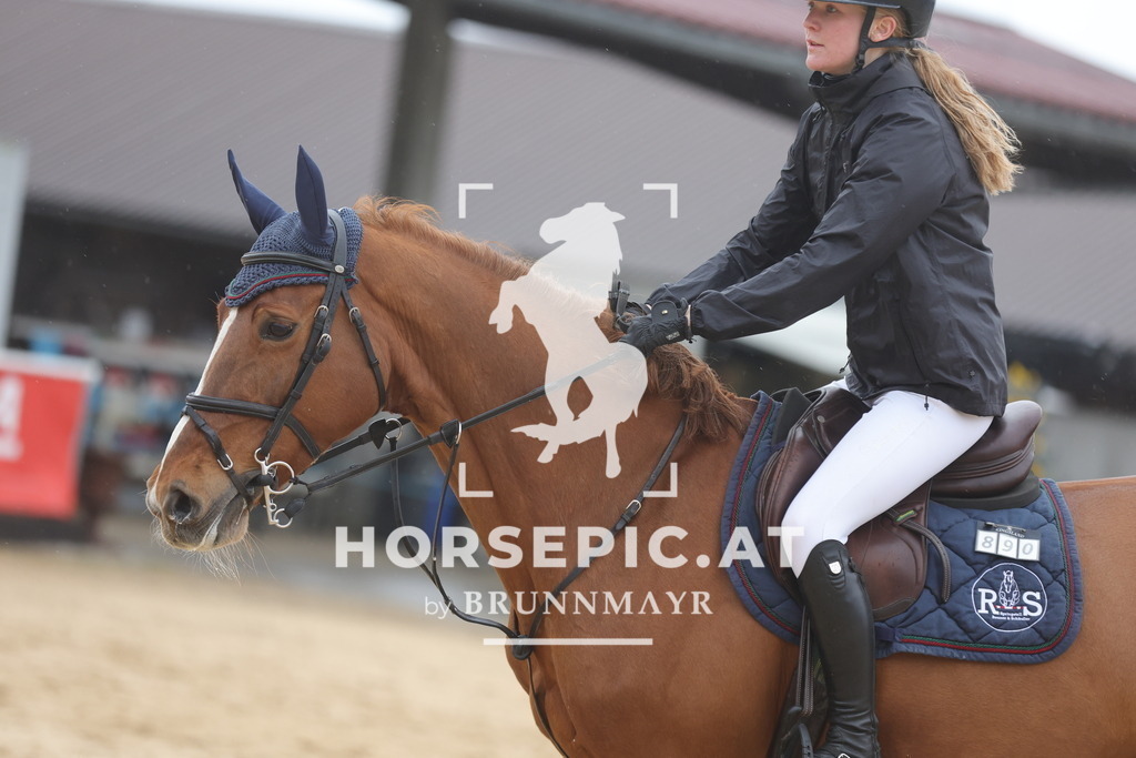 0P6A1302 | Willkommen bei Brunnmayr - Design & Fotografie – Ihrem Spezialisten für Reitturniere und Pferdeveranstaltungen in Oberösterreich, Salzburg und Bayern! Seit über 17 Jahren sind wir leidenschaftlich dabei.