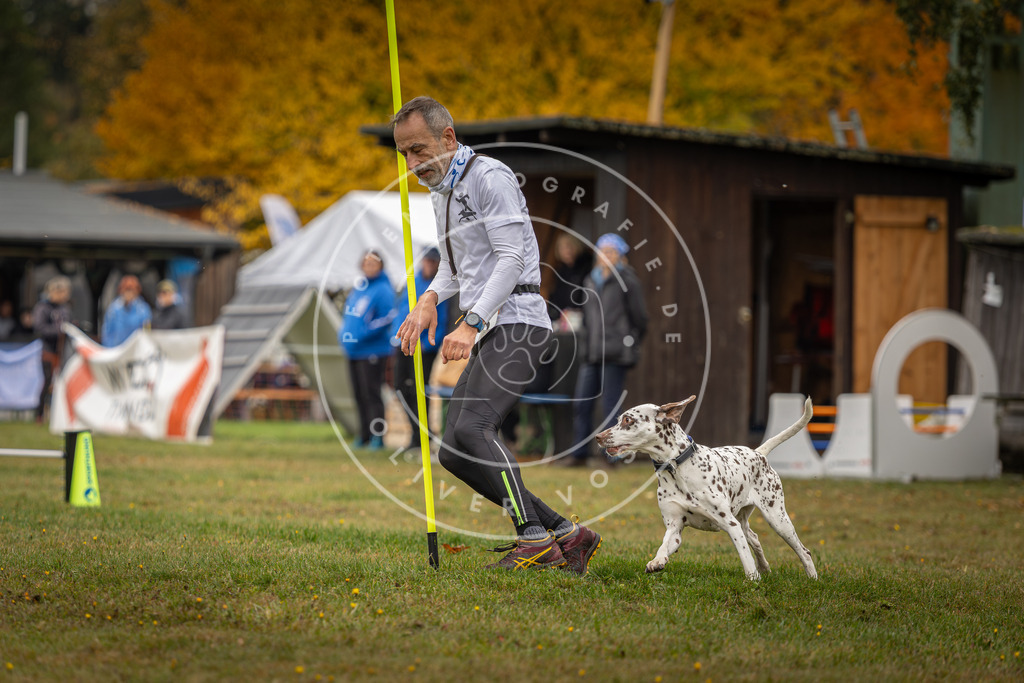 Pfotenfotografie_DV3A1836 | Hundefotografie, Tierfotograf, Pfotenfotografie, Fotoshooting Hund, Hunde Portrait, Hundesport, Hundeportraits, Heideshooting, Hunde, Sportfotograf, Hundefotograf, Turnierhundsport, THS,  - Realisiert mit Pictrs.com