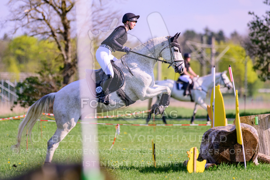 18042026-Gernlinden-04-1-1227 | Fokus Hufschlag Fotografie - Realisiert mit Pictrs.com
