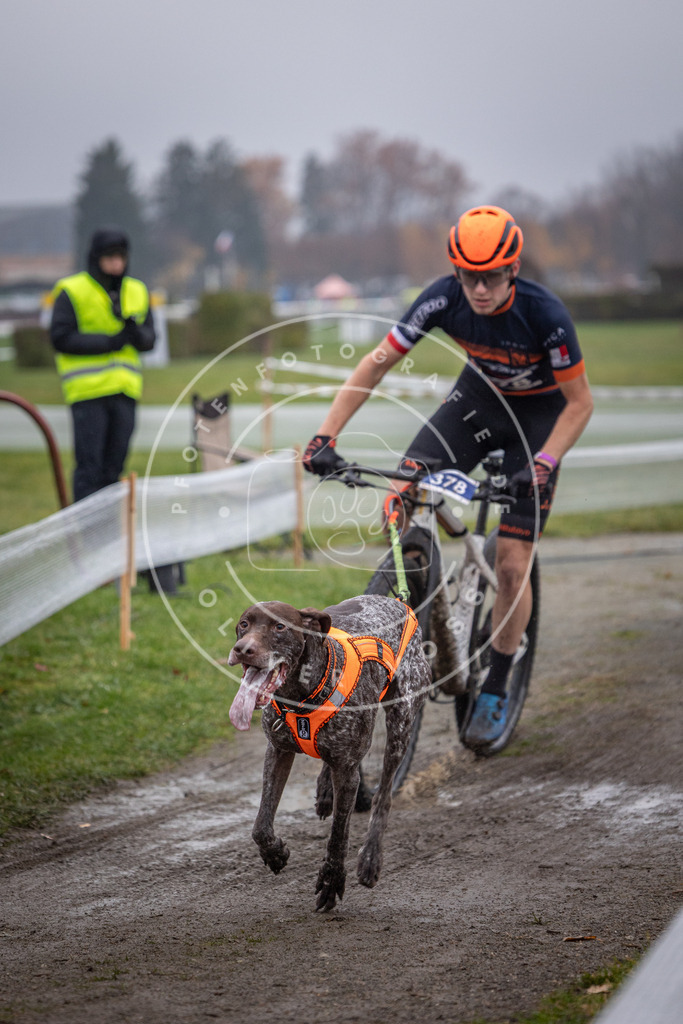 CaniXpix_0L8A0960 | Hundefotografie, Tierfotograf, Pfotenfotografie, Fotoshooting Hund, Hunde Portrait, Hundesport, Hundeportraits, Heideshooting, Hunde, Sportfotograf, Hundefotograf, Turnierhundsport, THS,  - Realisiert mit Pictrs.com
