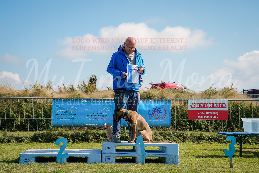 20250928_Hunderennen-736 | MuT (Mensch und Tier) mit Mona - Fotografie und Tierkommunikation - Realisiert mit Pictrs.com