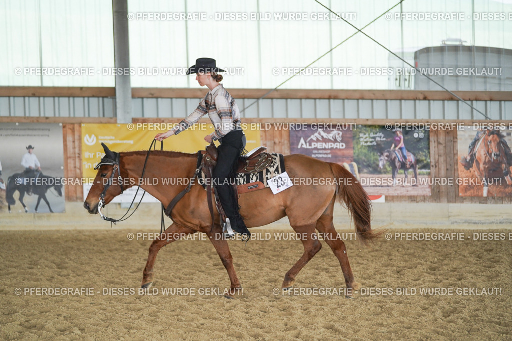 DSC00090 | Pferdegrafie