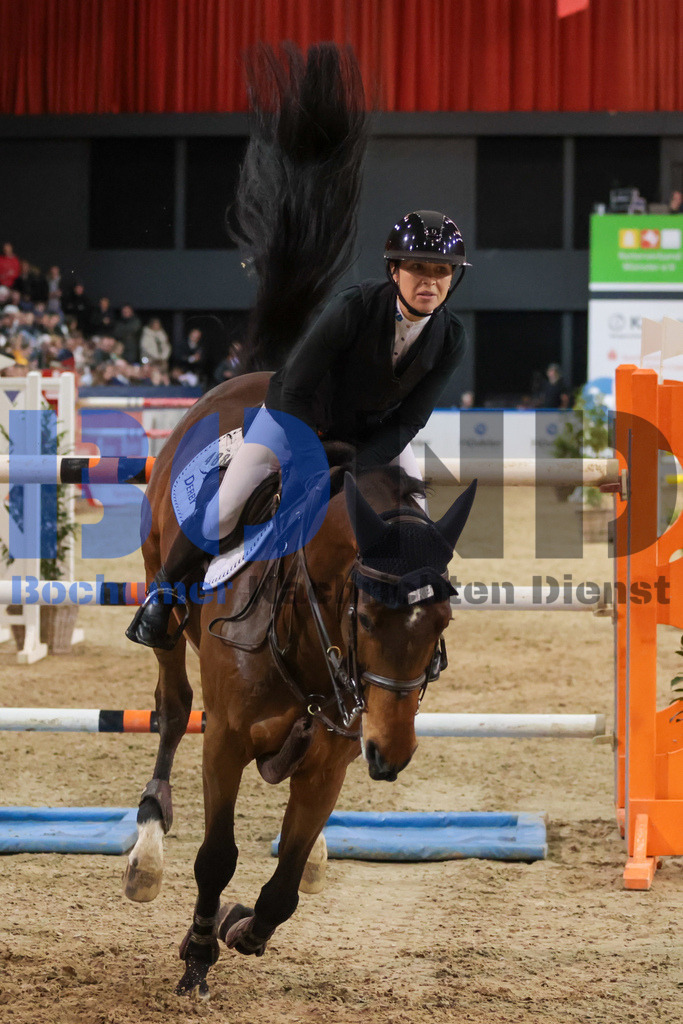 Agravis Cup 2024 - Championat von Muenster {date} -  | {headline}



(Foto: Sebastian Sendlak / BOND)

 - Realisiert mit Pictrs.com