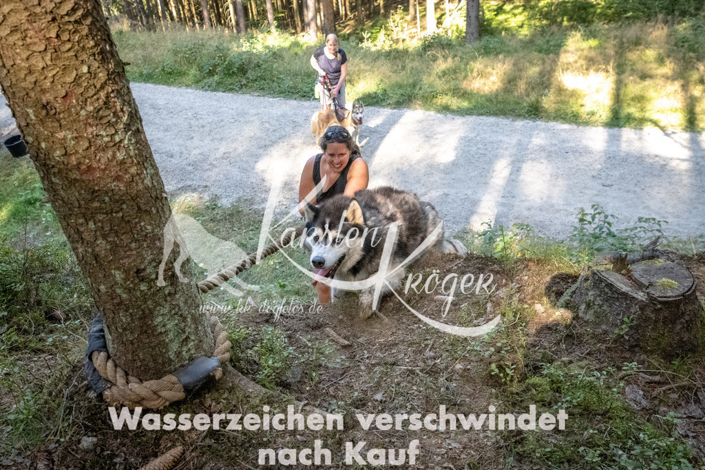 1105_ZZ94248 | kk-dogfotos