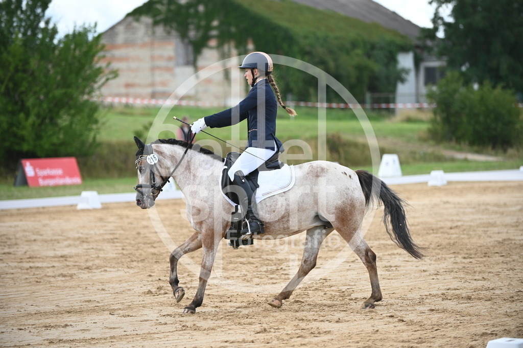 DSC_6233 | sattelsport - Realisiert mit Pictrs.com