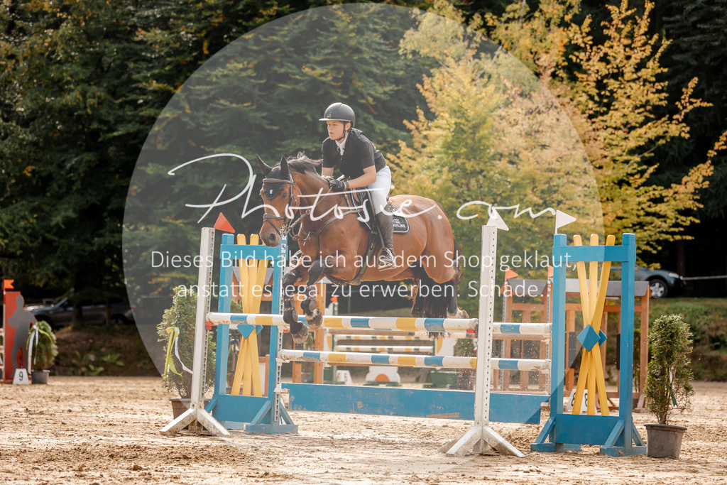 3I6A4587 | Stimmungsvolle Portraits und Reitsportfotografie im Ruhrgebiet und im Münsterland.

Pferdefotografie, Hundefotografie, Tierfotografie, Reportagen, Portraits von Tier und Mensch, Turnierfotografie in Bochum, Recklinghausen, Marl, Haltern am See, Dülmen.. - Realisiert mit Pictrs.com
