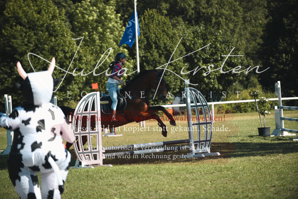 DSC_7735 | Pferde- und Turnierfotografie in Westsachsen. Pferdeportraits, Auftragszeichnungen und intuitive Kunst.
