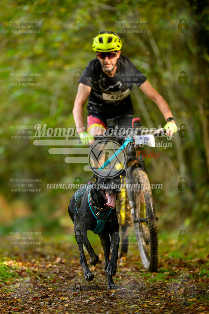 MompixPhotography_20TSB_E1_Bike-32 | PayLife