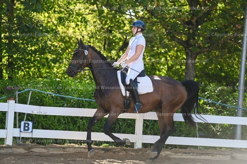 20230715_06_Dressurpferdeprfg. Kl.A_0286 | equistock