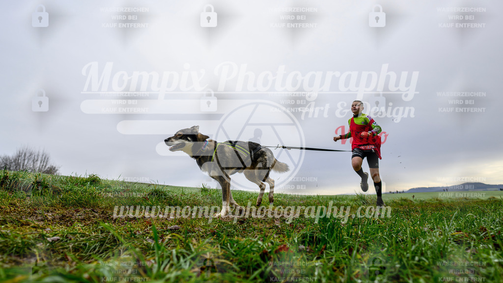 MompixPhotography_Staufertrail2024_SO_Canicross-21 | PayLife