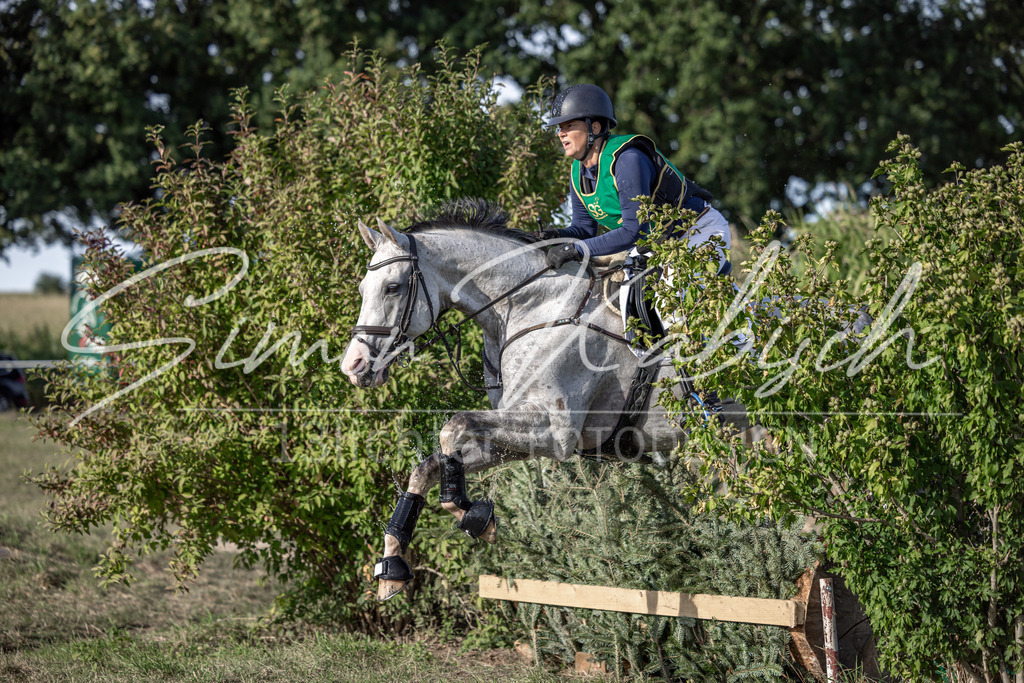 20250907-_3LI4303 | Tierfotografie Pferde, Hunde, Katzen, Haustiere.
Turnierfotografie Reitturniere, Reiten, Springreiten, Dressur in Hanau, dem Main-Kinzig-Kreis und dem Rhein-Main- Gebiet um Frankfurt