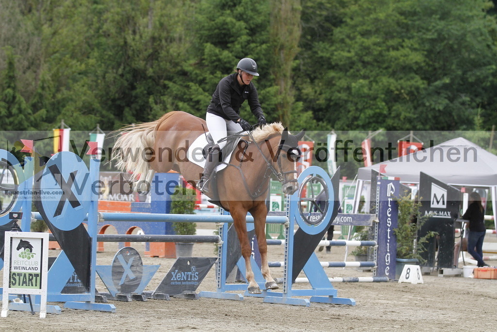 _MG_1637 | equestrian-live-com