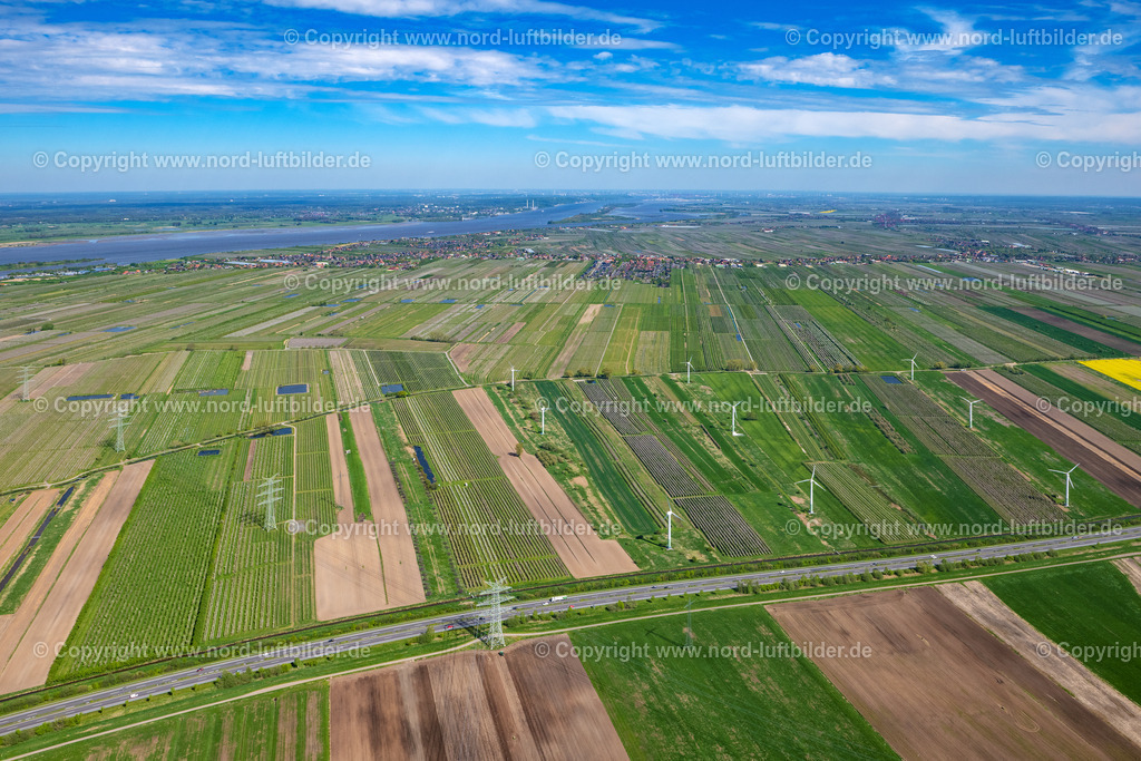 Steinkirchen_Altes_Land_Obsplantagen_ELS_6638080523 | STEINKIRCHEN 08.05.2023 Baumreihen einer Obstanbau- Plantage auf einem Feld " Altes Land " in Steinkirchen im Bundesland Niedersachsen, Deutschland. // Rows of trees of fruit cultivation plantation in a field " Altes Land " in Steinkirchen in the state Lower Saxony, Germany. Foto: Martin Elsen
