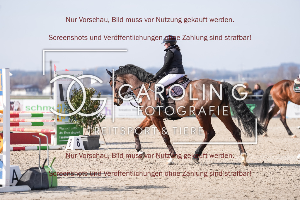 DSC05237 | Late_entry_Springturnier_Bad_Wurzach, Bella_G, Miriam_Bohn
