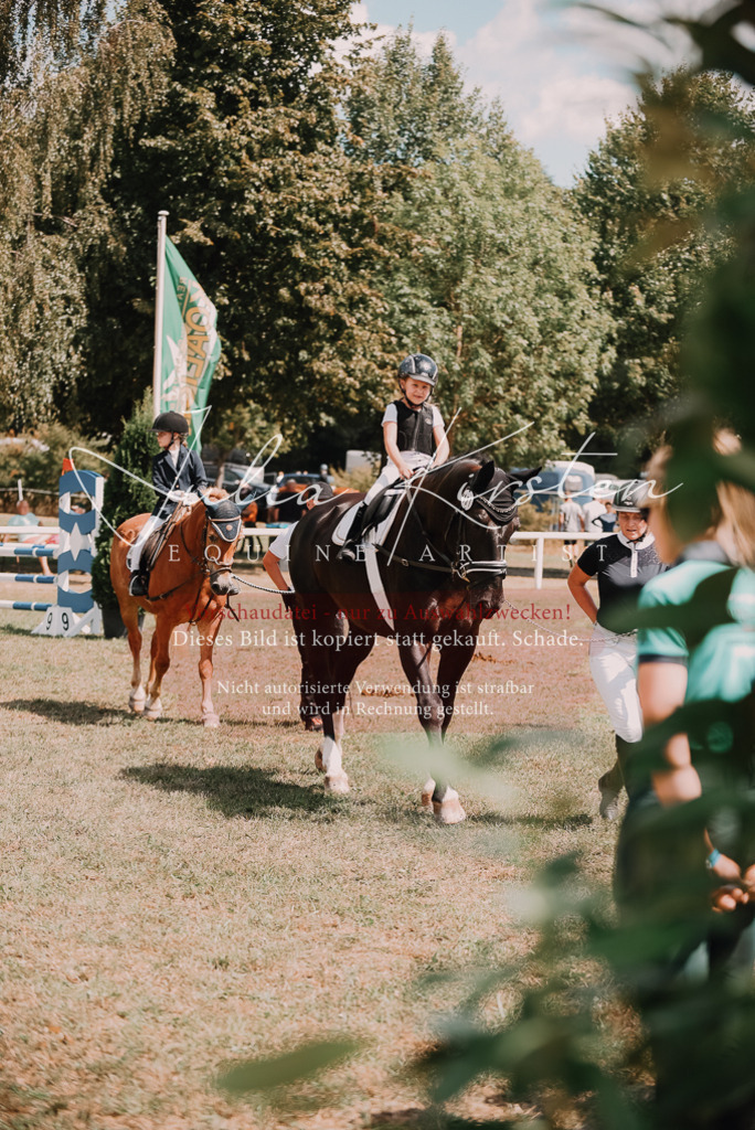 DSC_6219 | Pferde- und Turnierfotografie in Westsachsen. Pferdeportraits, Auftragszeichnungen und intuitive Kunst.