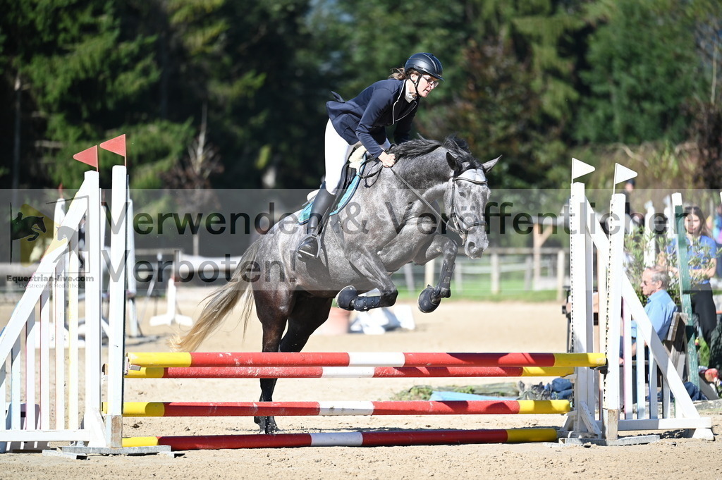 DSC_8009 | equestrian-live-com