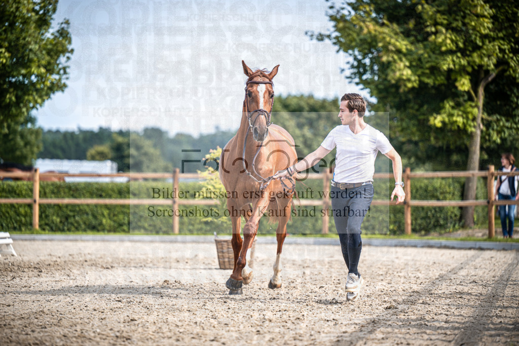 DOS_1735 | Entdecke hochwertige Reitturnierfotos von Foto Oger. Professionell, emotional und authentisch – jetzt Lieblingsmomente im Shop bestellen.Deutschlandweite Turnierfotografie. - Realisiert mit Pictrs.com