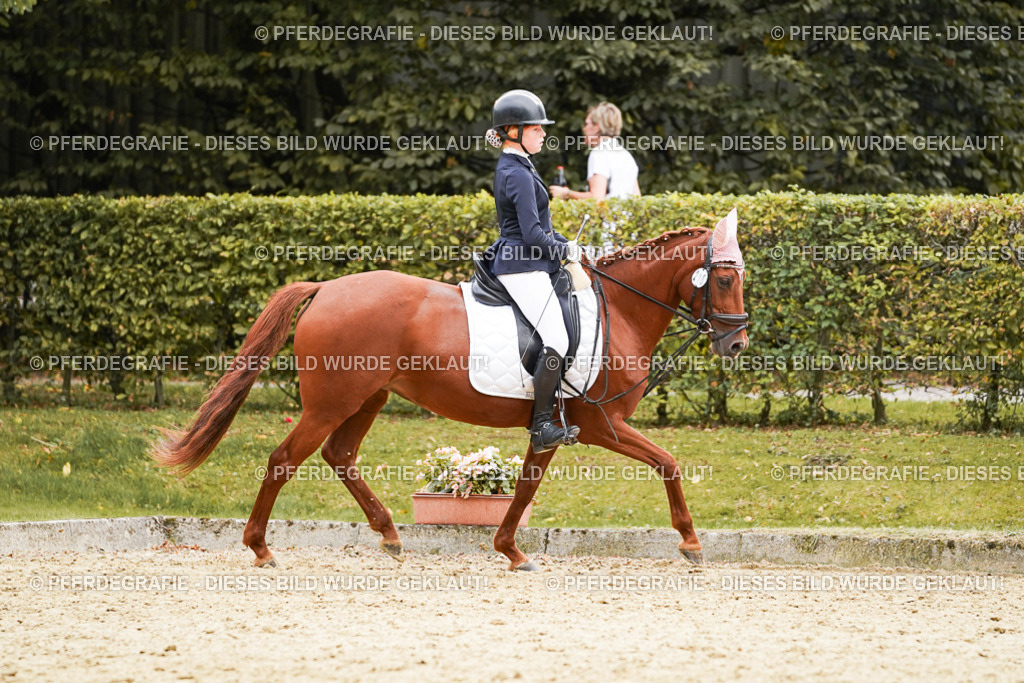 DSC09728 | Pferdegrafie