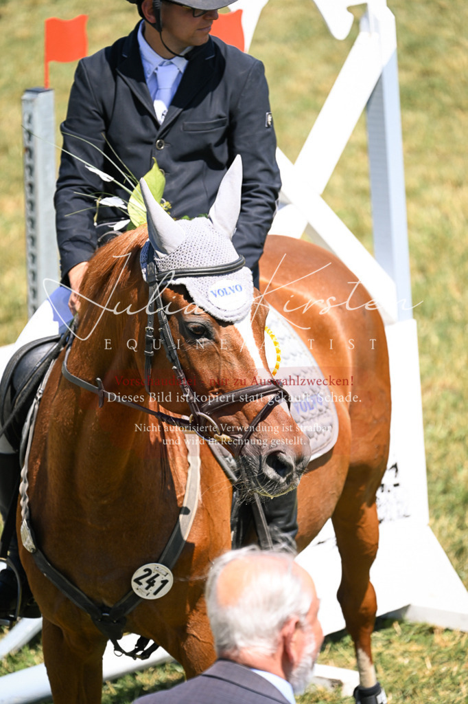 DSC_0051 | Pferde- und Turnierfotografie in Westsachsen. Pferdeportraits, Auftragszeichnungen und intuitive Kunst.