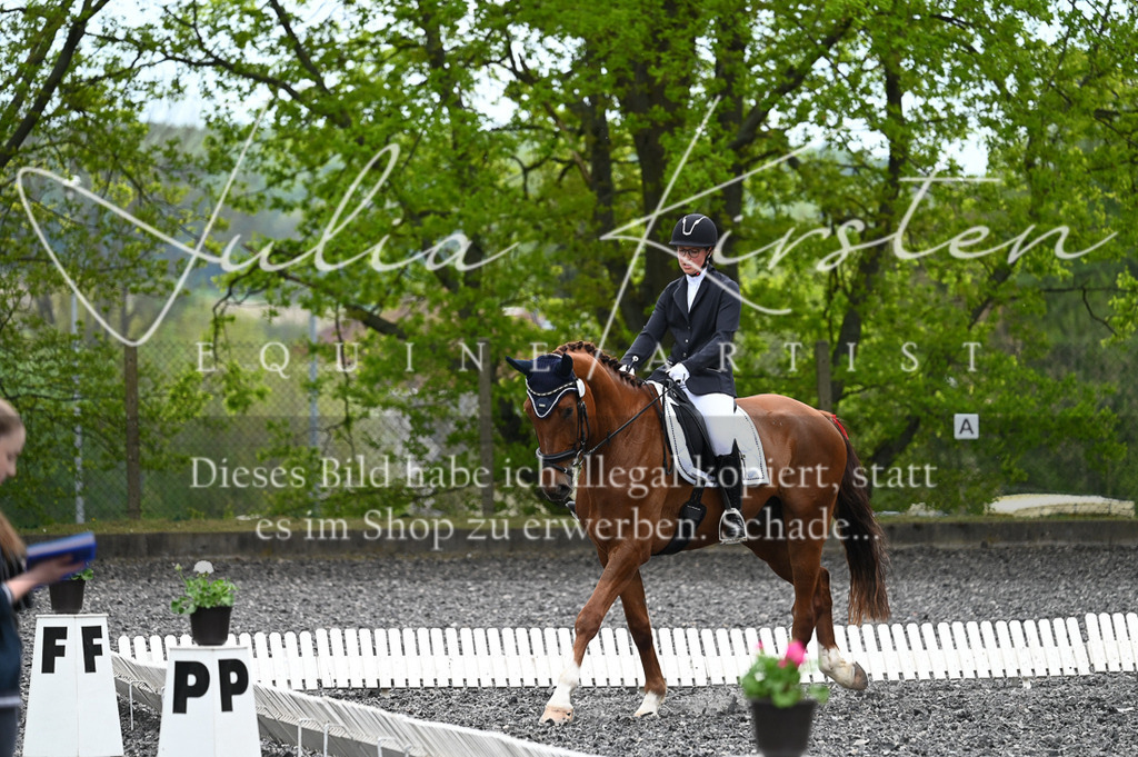 20230512_JK-Röhrsdorf-07-179 | Pferde- und Turnierfotografie in Westsachsen. Pferdeportraits, Auftragszeichnungen und intuitive Kunst.