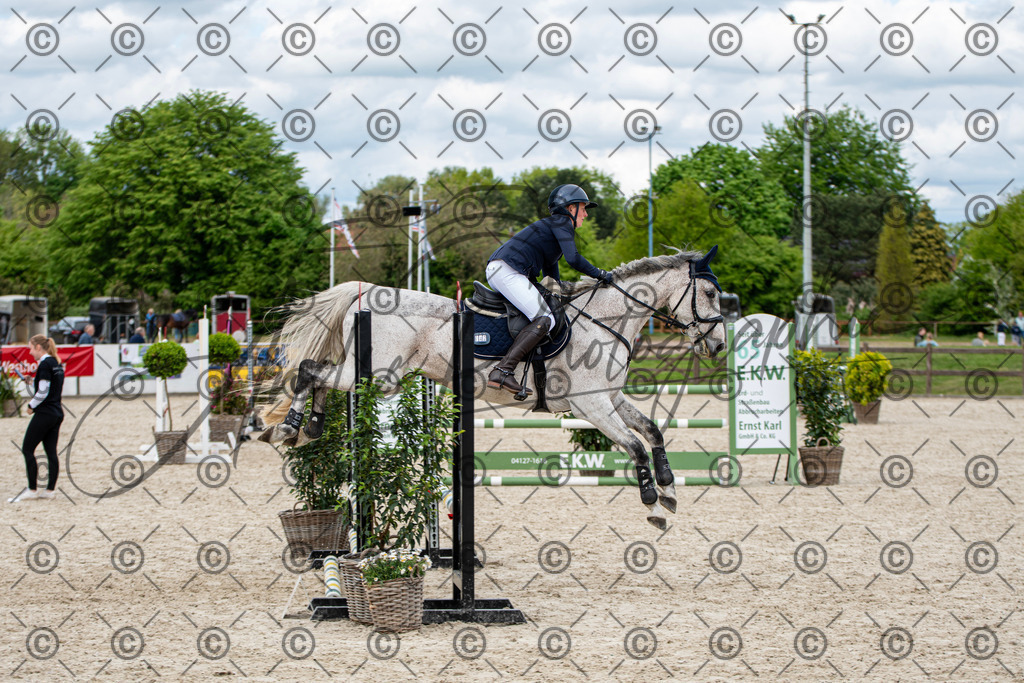 KPT_6183 | andre_photographic