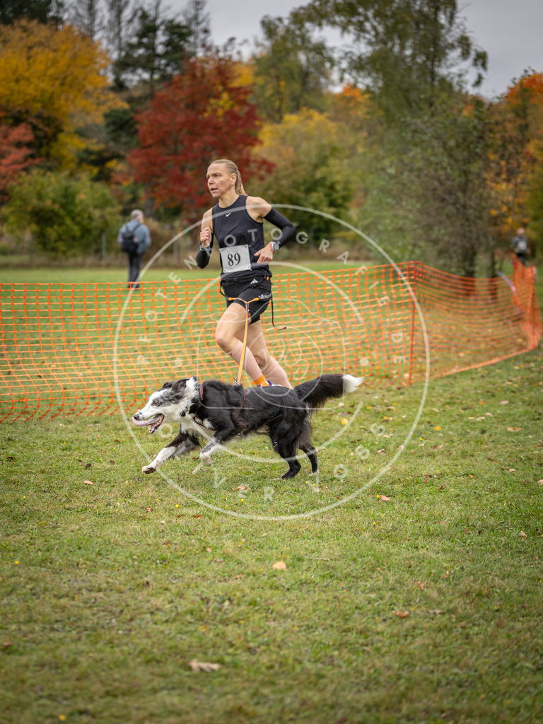 Pfotenfotografie_DV3A3186 | Hundefotografie, Tierfotograf, Pfotenfotografie, Fotoshooting Hund, Hunde Portrait, Hundesport, Hundeportraits, Heideshooting, Hunde, Sportfotograf, Hundefotograf, Turnierhundsport, THS,  - Realisiert mit Pictrs.com