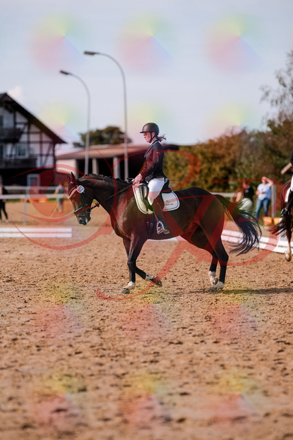 2026_10_03_Siefer-Hof_132604_Z81_78650006 | Professionelle Reitsport-, Turnier- und Eventfotografie von Robert Broda. Galerien mit ausgewählten und bearbeiteten Bildern direkt online ansehen und bestellen.