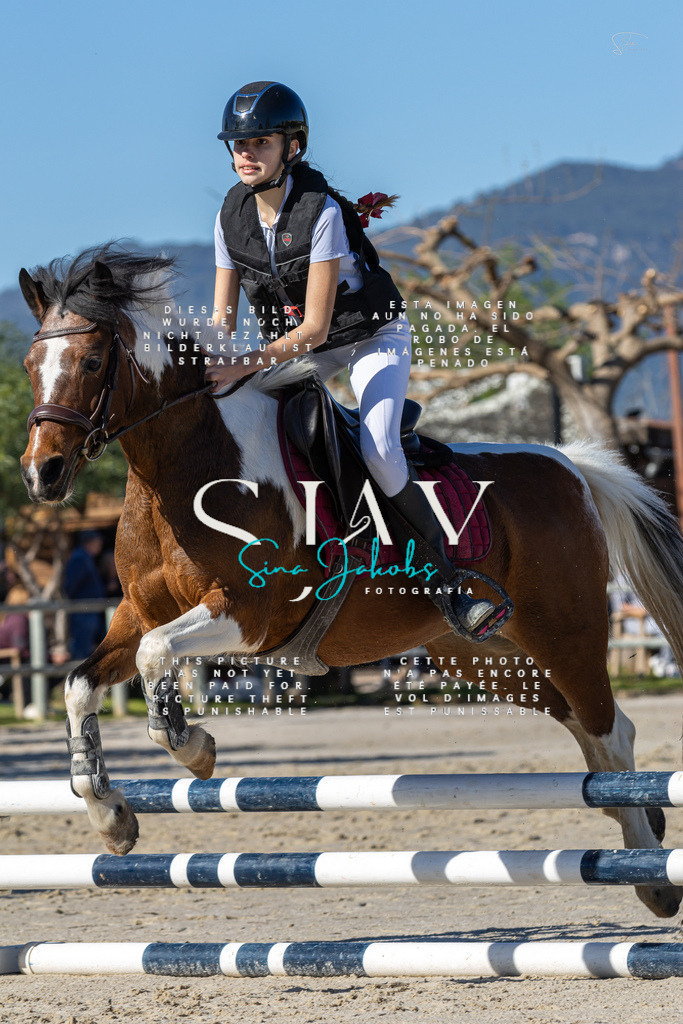 IMG_8441 | s-jay-photography - Realisiert mit Pictrs.com