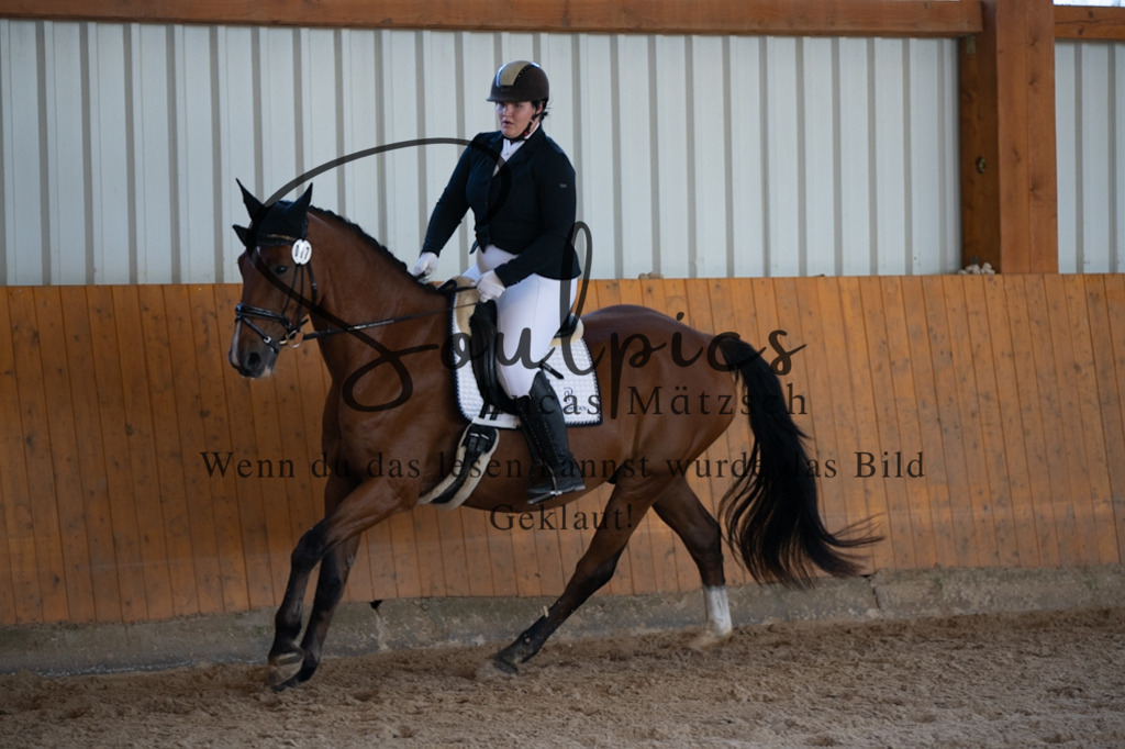 A7V01794 | Turnier/Reitfotograf