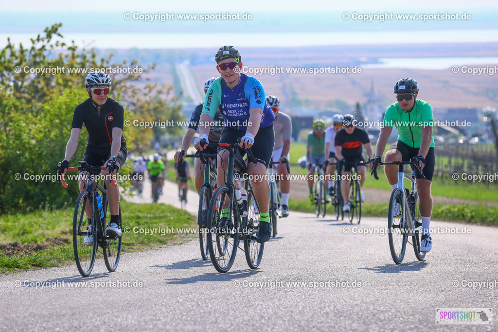 TRA_0178 | Neusiedlersee Radmarathon 2026@sportshot_your_pictrs #yourpictures#roadtowm2029 #nrm #neusiedlerseeradmarathon #neusiedlersee #neusiedlerseetourismus #burgenland #mörbisch #nrm26 #burgenlandtourismus #voglundco #poweredbyburgenlandtourismus #radsport #rad #marathon #ucigranfondo #visitburgenland #ucigranfondoworldseries