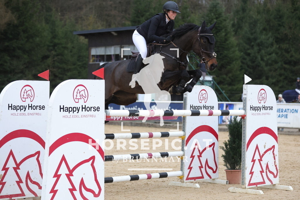0P6A5509 | Willkommen bei Brunnmayr - Design & Fotografie – Ihrem Spezialisten für Reitturniere und Pferdeveranstaltungen in Oberösterreich, Salzburg und Bayern! Seit über 17 Jahren sind wir leidenschaftlich dabei.