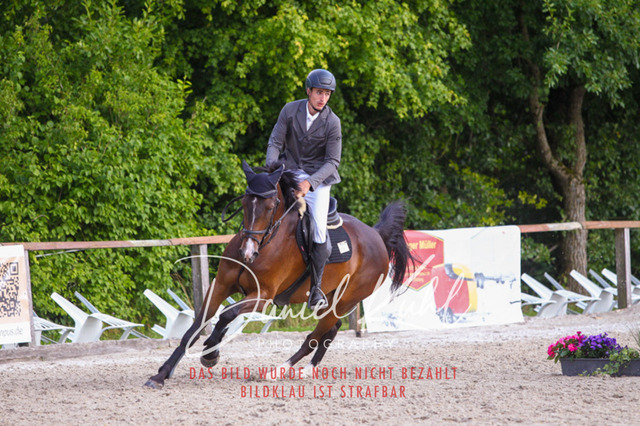 DKP44038 | Turniersportfotografie; Pferdefotografie; Dressurfotografie