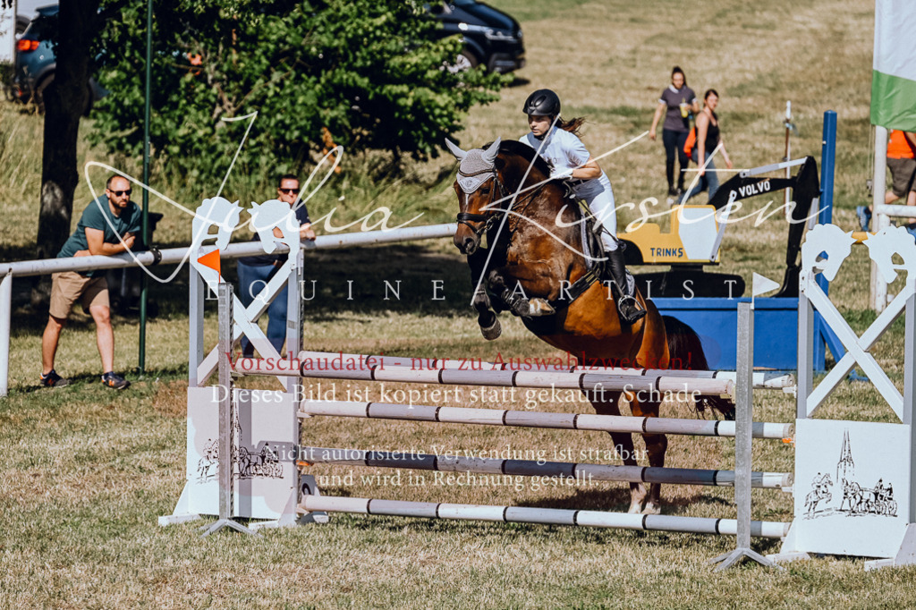 DSC_2065 | Pferde- und Turnierfotografie in Westsachsen. Pferdeportraits, Auftragszeichnungen und intuitive Kunst.