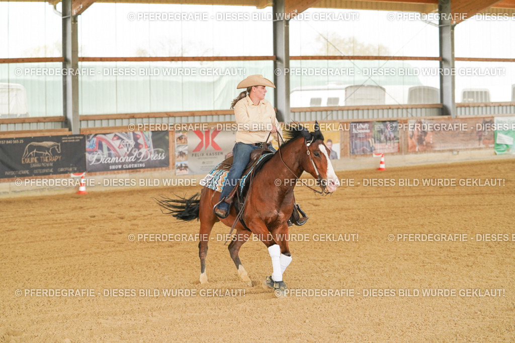 DSC07157 | Pferdegrafie